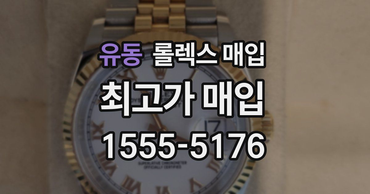 유동 롤렉스 매입