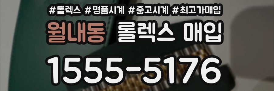 월내동 롤렉스 매입