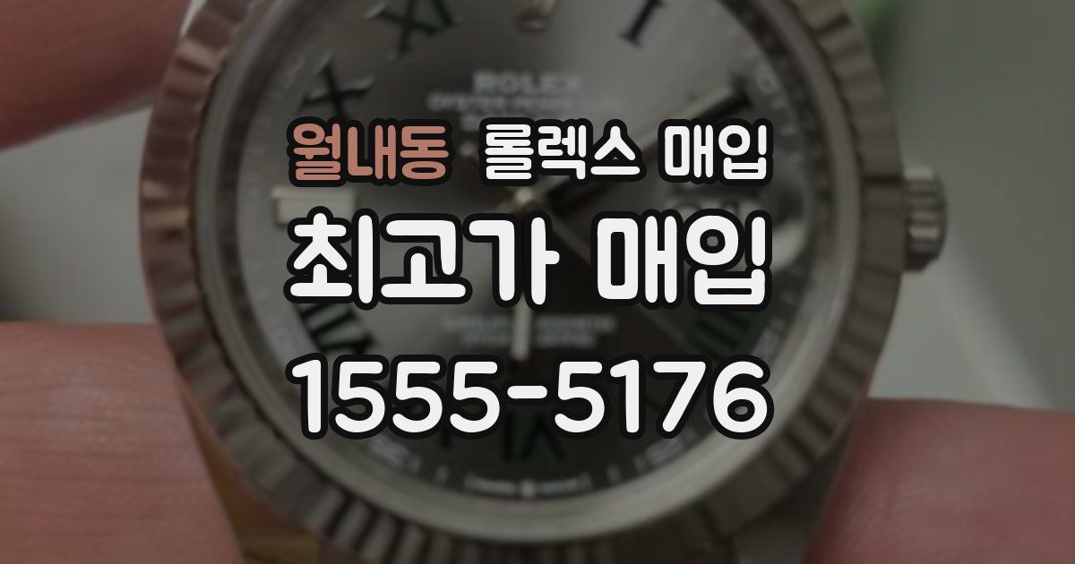 월내동 롤렉스 매입
