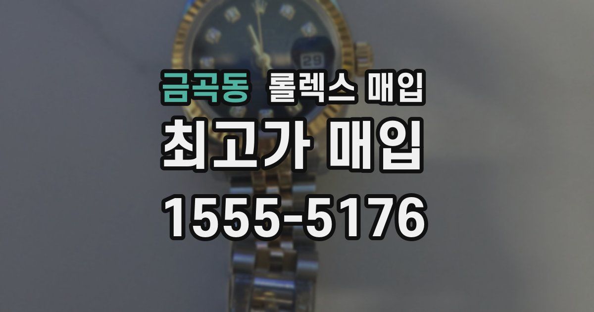 금곡동 롤렉스 매입