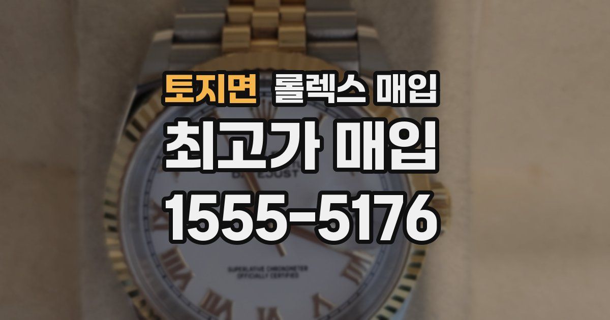 토지면 롤렉스 매입