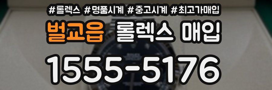 벌교읍 롤렉스 매입
