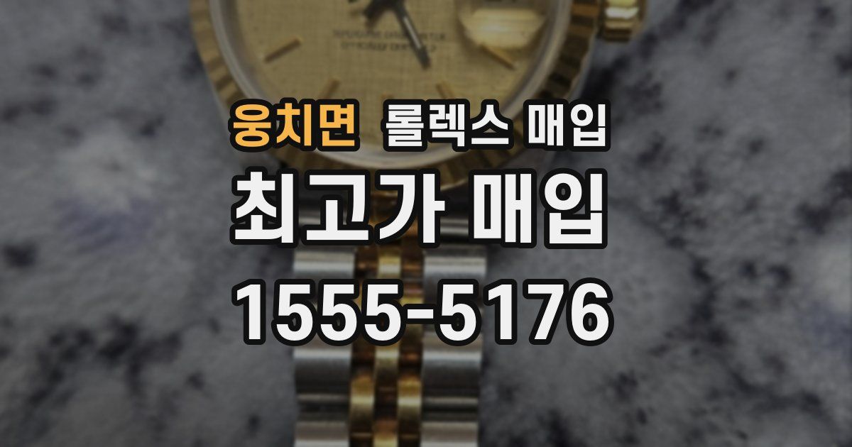 웅치면 롤렉스 매입