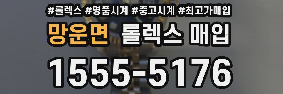 망운면 롤렉스 매입