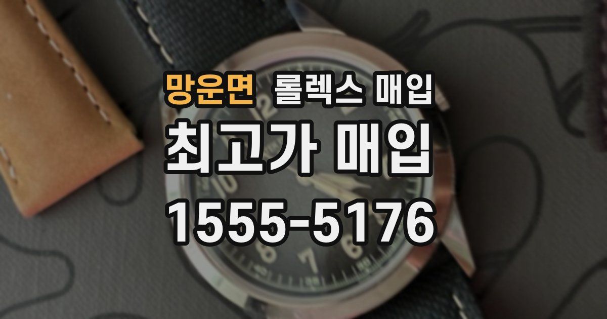 망운면 롤렉스 매입