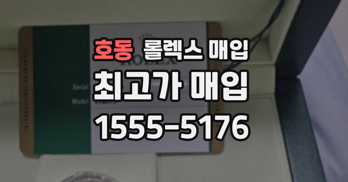 호동 롤렉스 매입