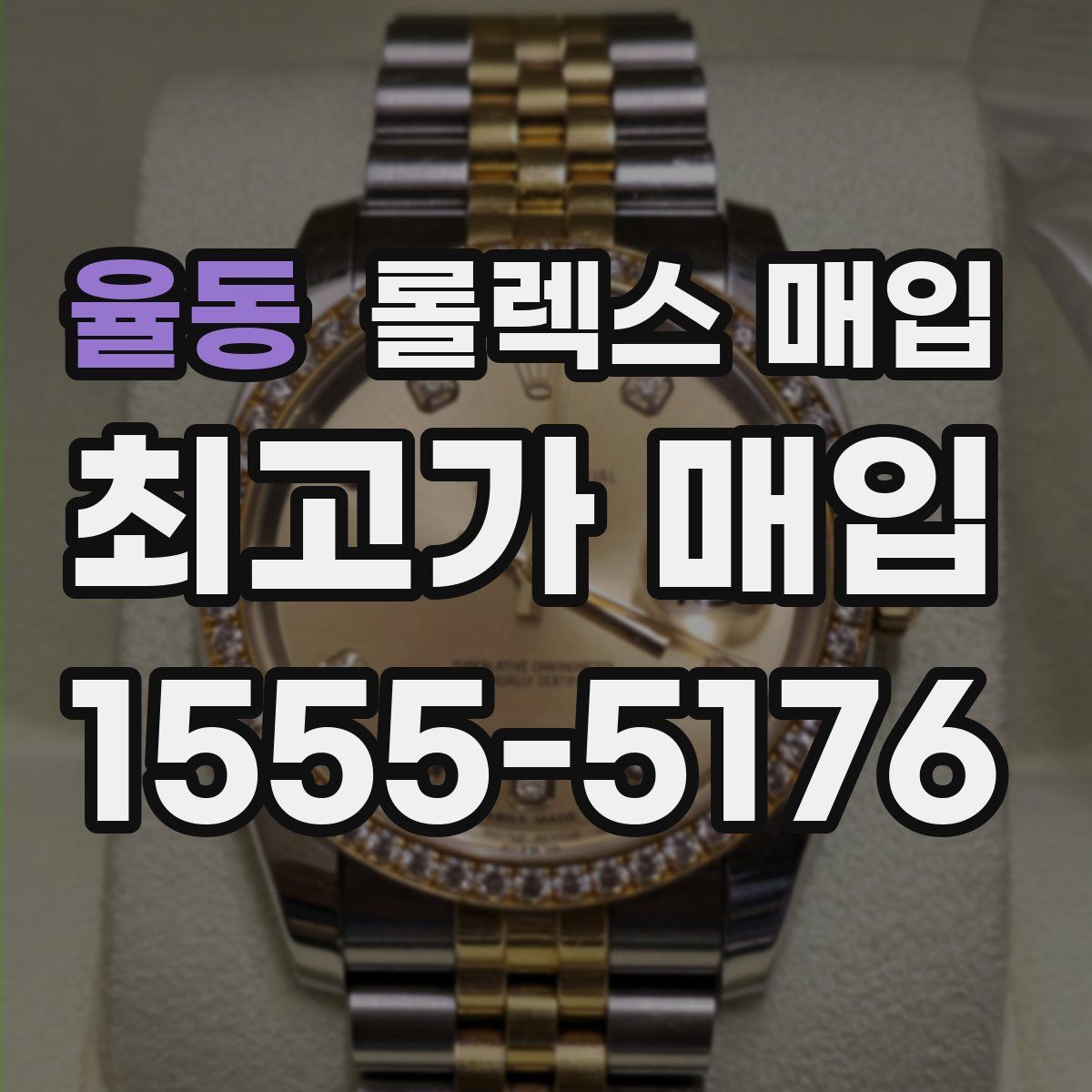 율동 롤렉스 매입