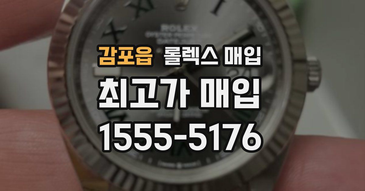 감포읍 롤렉스 매입