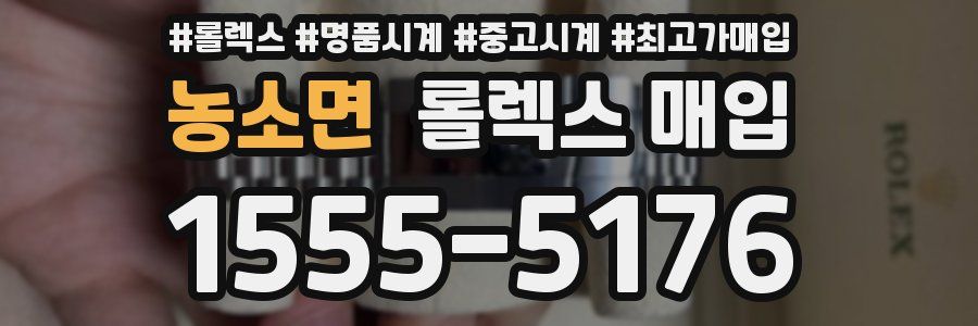 농소면 롤렉스 매입