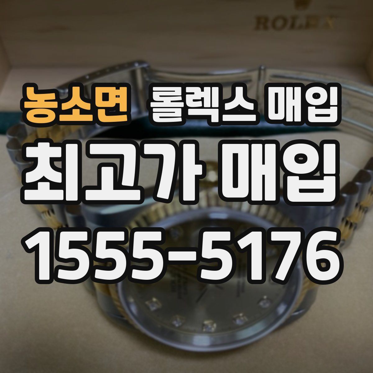 농소면 롤렉스 매입