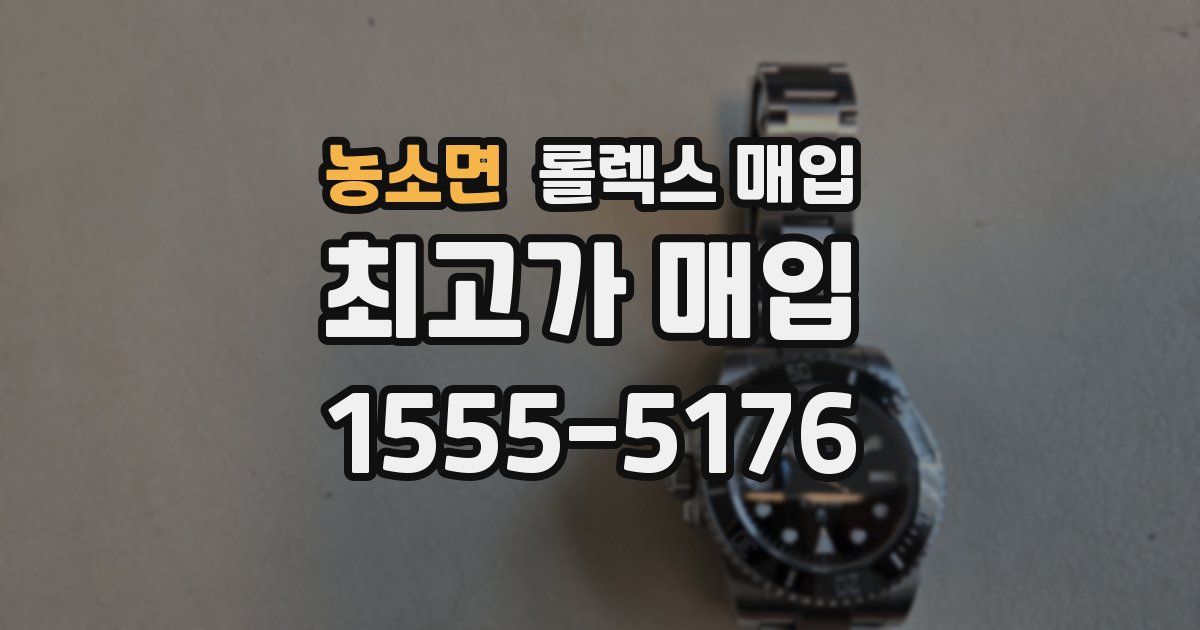 농소면 롤렉스 매입