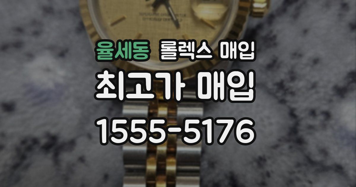 율세동 롤렉스 매입
