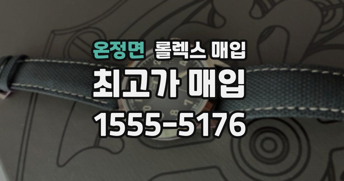 온정면 롤렉스 매입