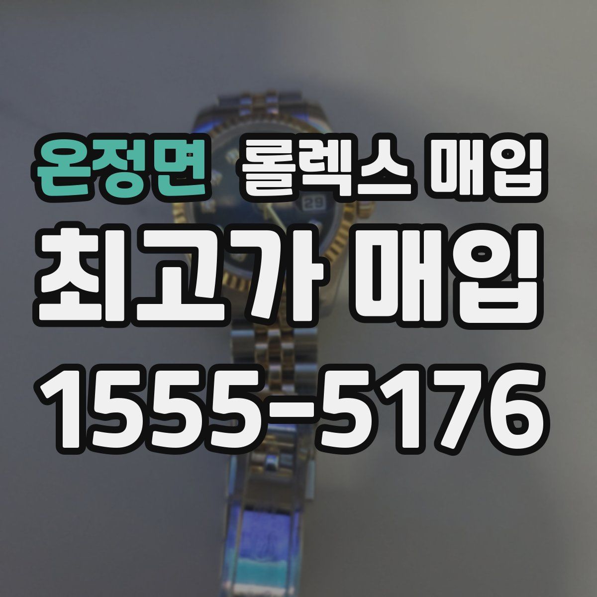 온정면 롤렉스 매입