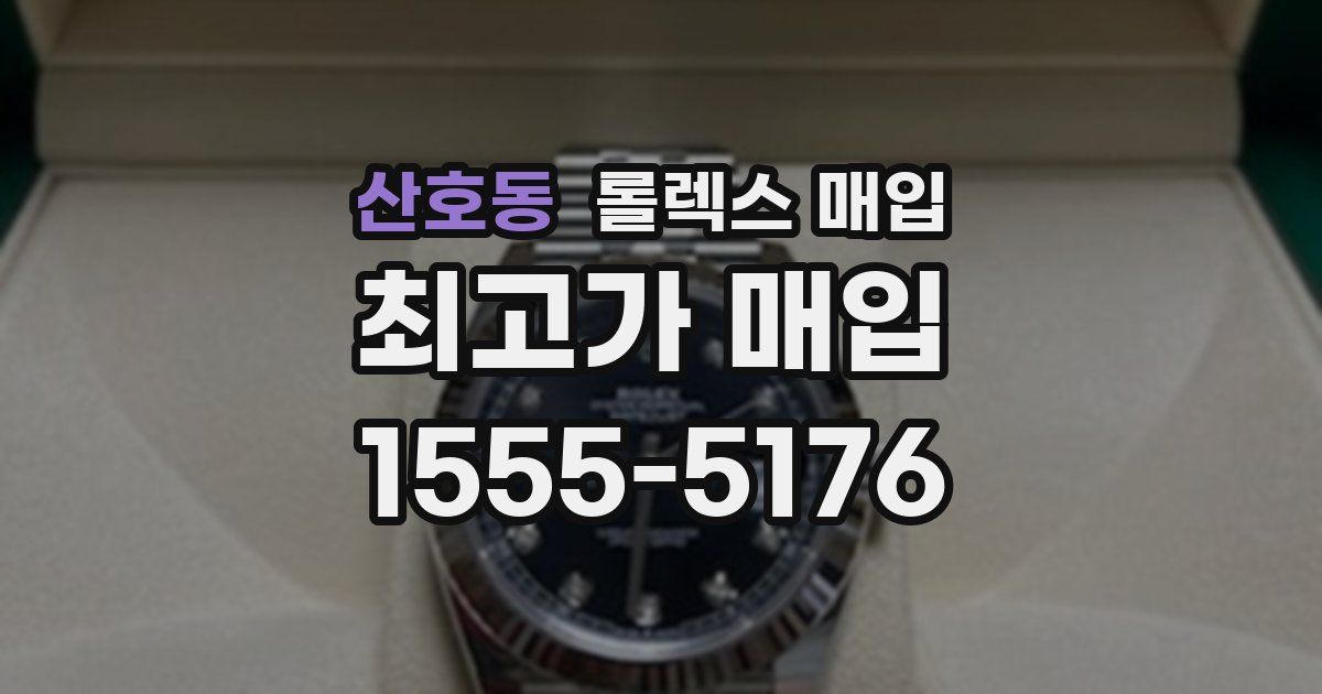 산호동 롤렉스 매입