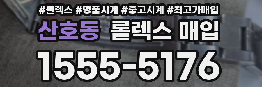 산호동 롤렉스 매입