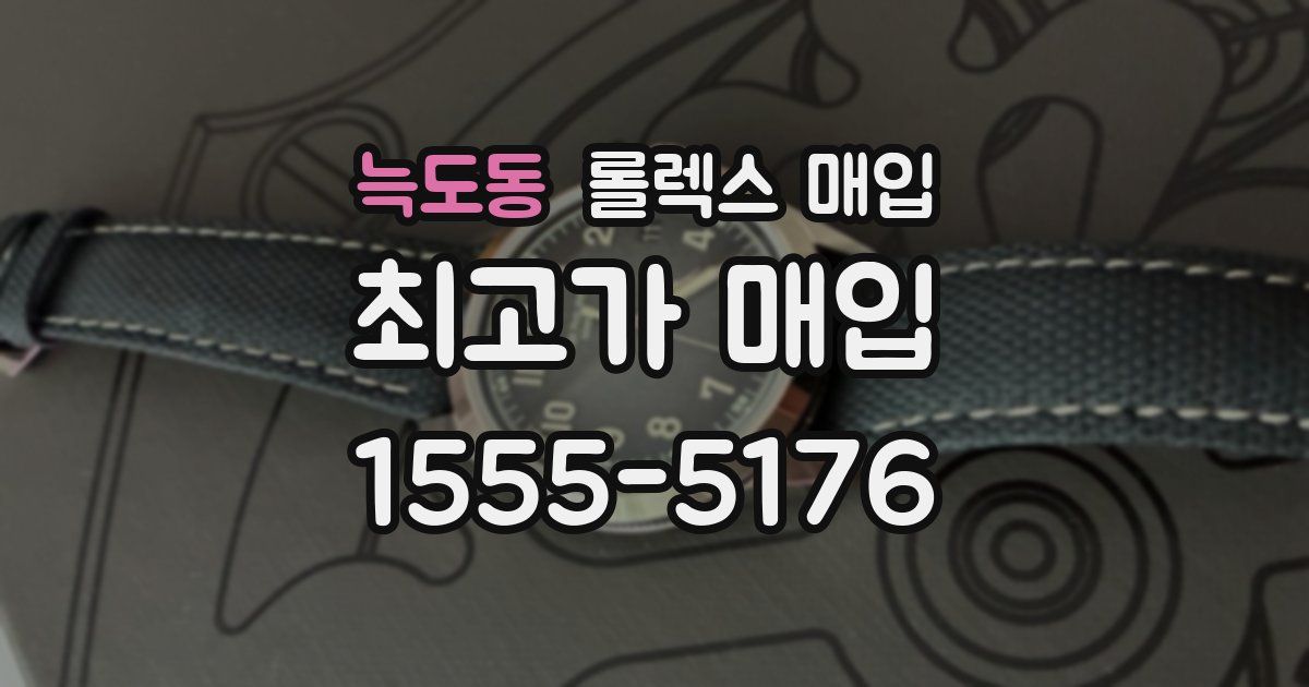 늑도동 롤렉스 매입