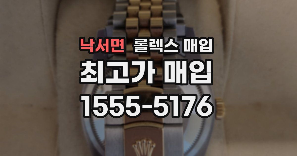 낙서면 롤렉스 매입