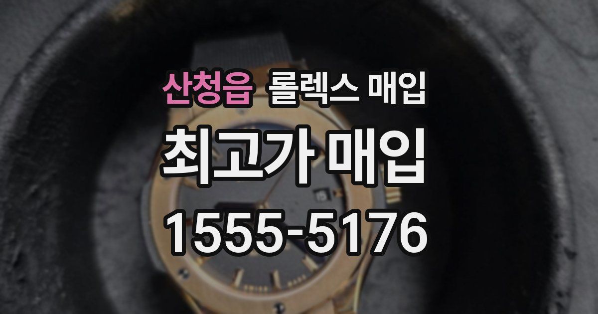 산청읍 롤렉스 매입