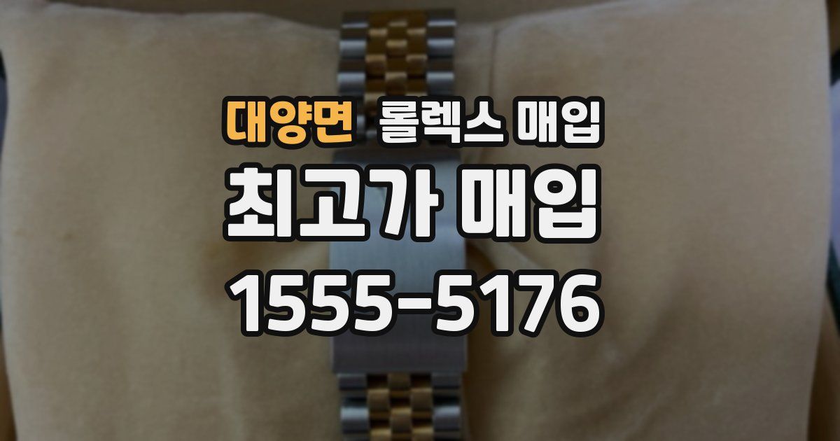 대양면 롤렉스 매입