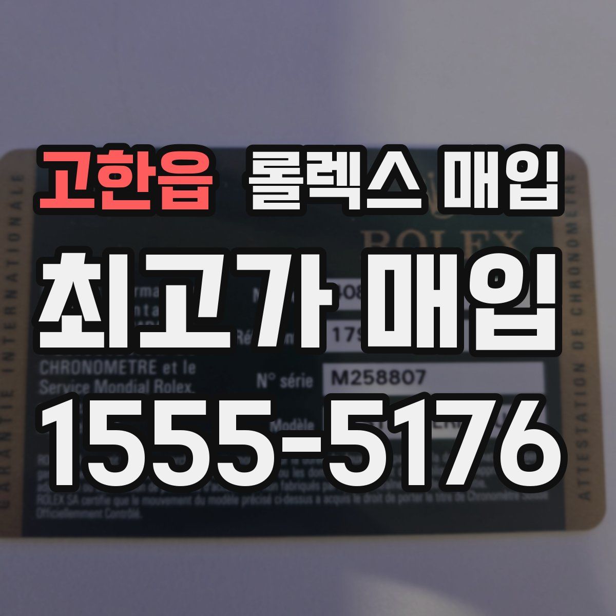 고한읍 롤렉스 매입