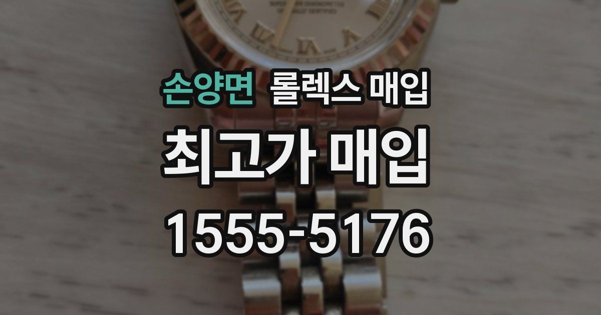 손양면 롤렉스 매입