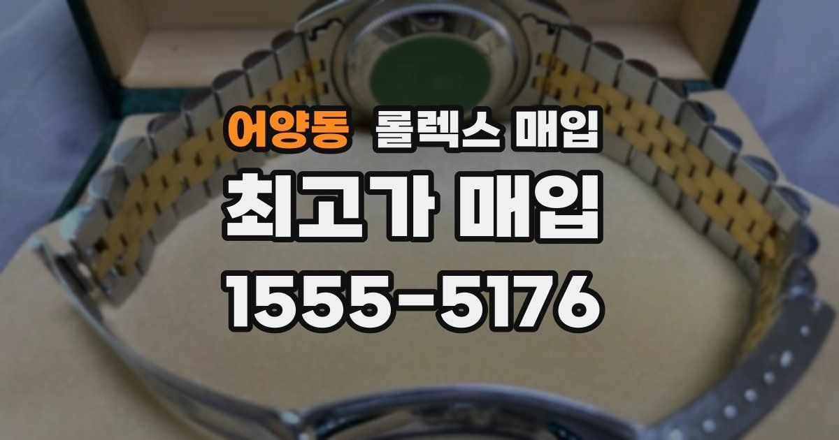 어양동 롤렉스 매입