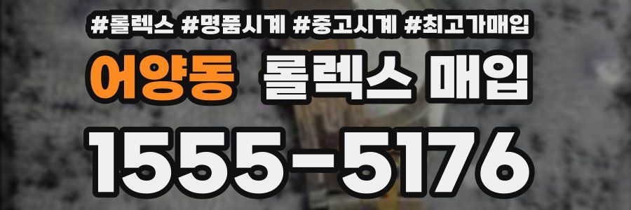 어양동 롤렉스 매입