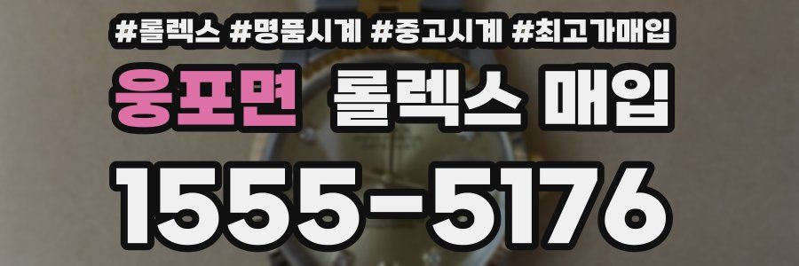 웅포면 롤렉스 매입