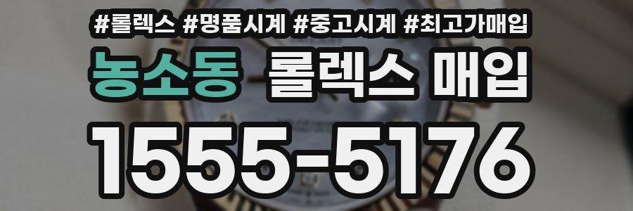 농소동 롤렉스 매입