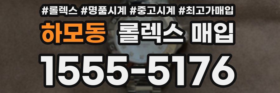하모동 롤렉스 매입