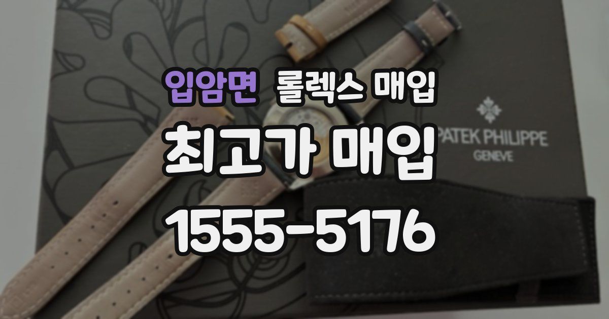 입암면 롤렉스 매입