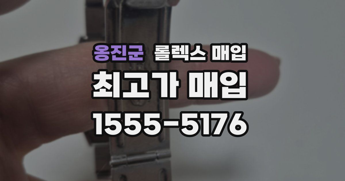 옹진군 롤렉스 매입