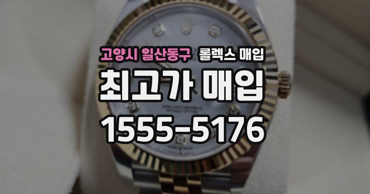 고양시 일산동구 롤렉스 매입