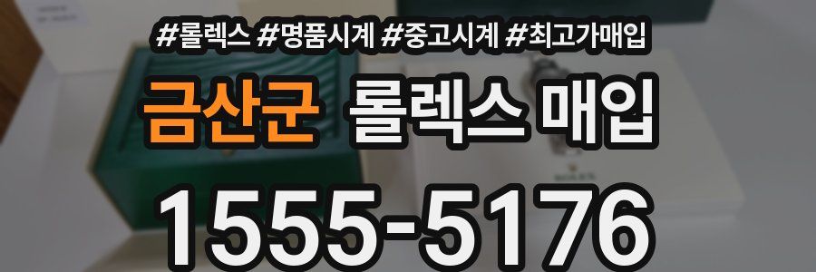 금산군 롤렉스 매입