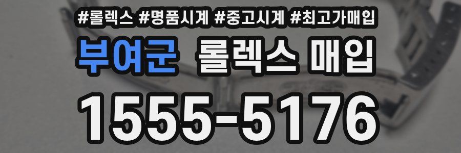 부여군 롤렉스 매입