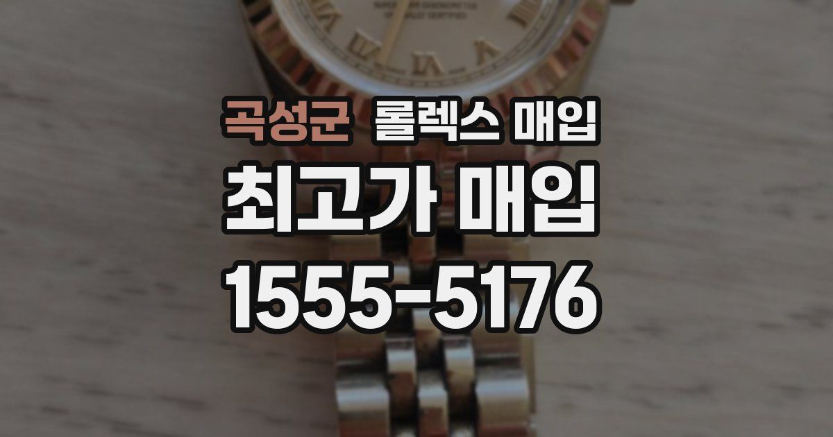 곡성군 롤렉스 매입