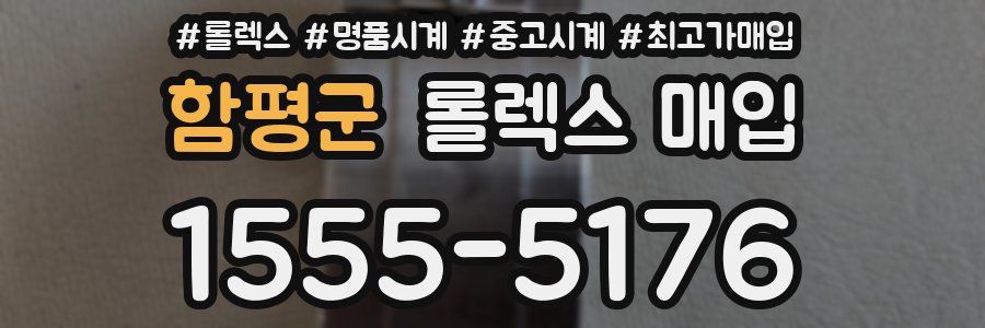 함평군 롤렉스 매입