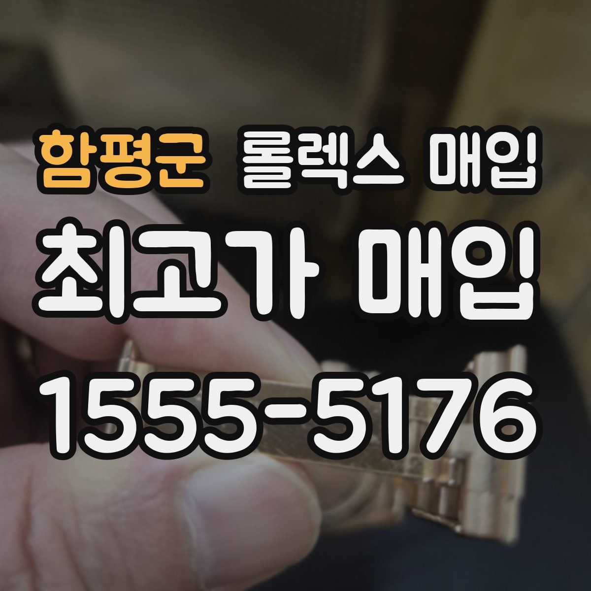 함평군 롤렉스 매입