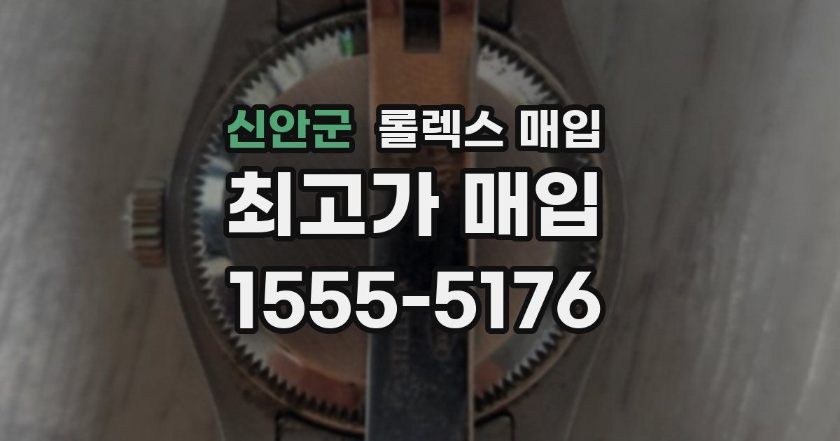 신안군 롤렉스 매입