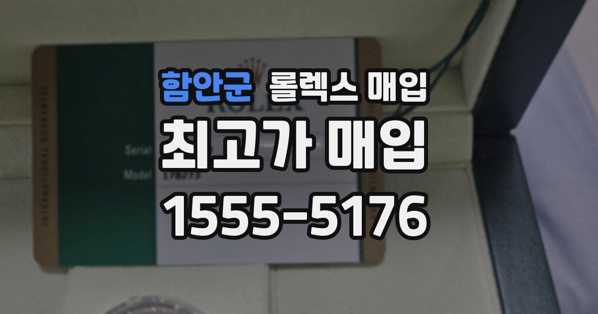 함안군 롤렉스 매입