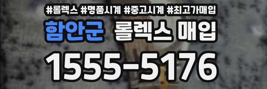 함안군 롤렉스 매입