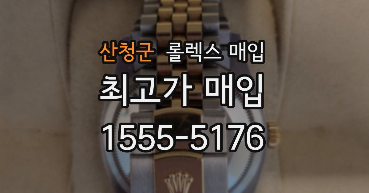 산청군 롤렉스 매입