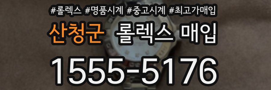 산청군 롤렉스 매입
