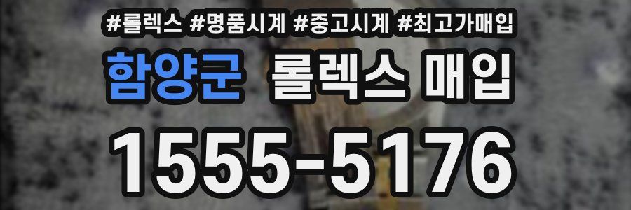 함양군 롤렉스 매입