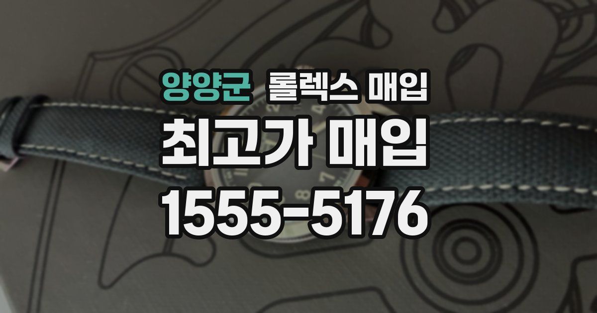 양양군 롤렉스 매입