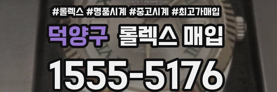 덕양구 롤렉스 매입