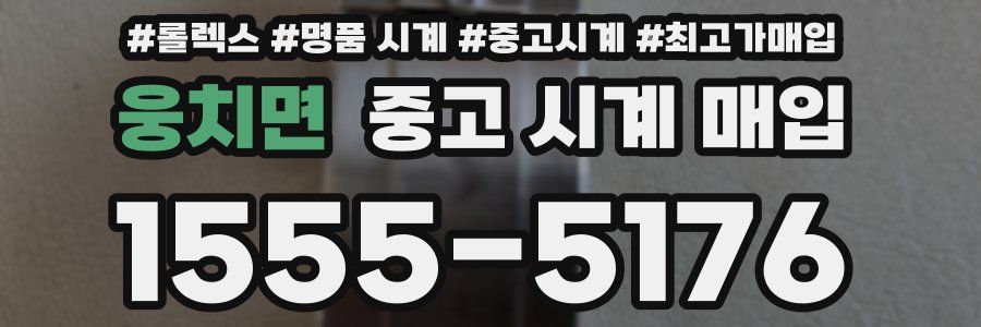 웅치면 중고 시계 매입