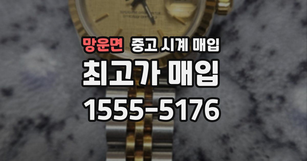 망운면 중고 시계 매입