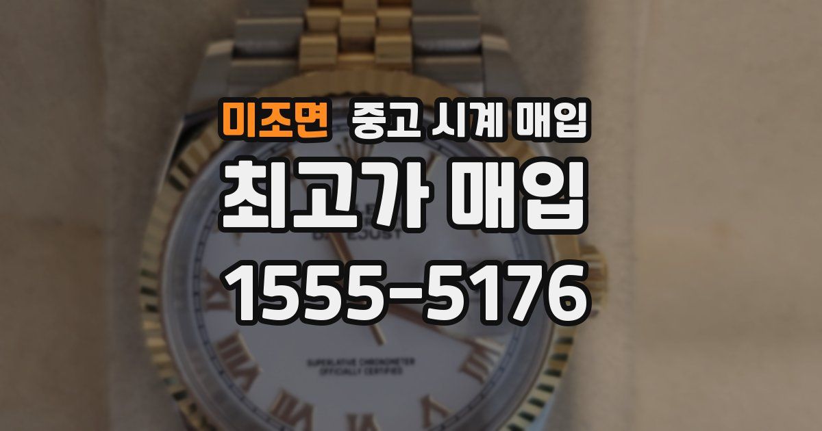 미조면 중고 시계 매입